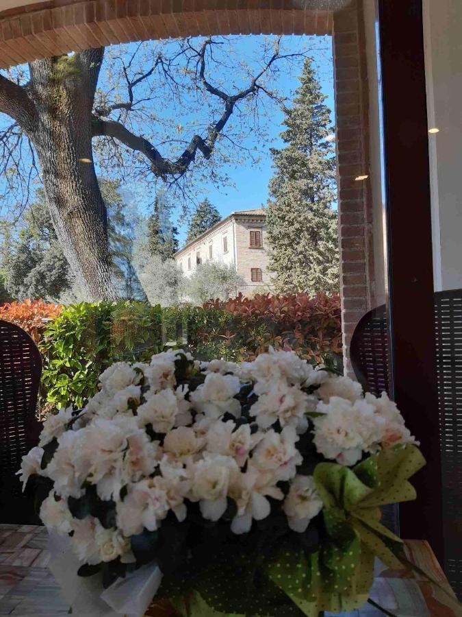 Hotel Il Boschetto Толентіно Екстер'єр фото
